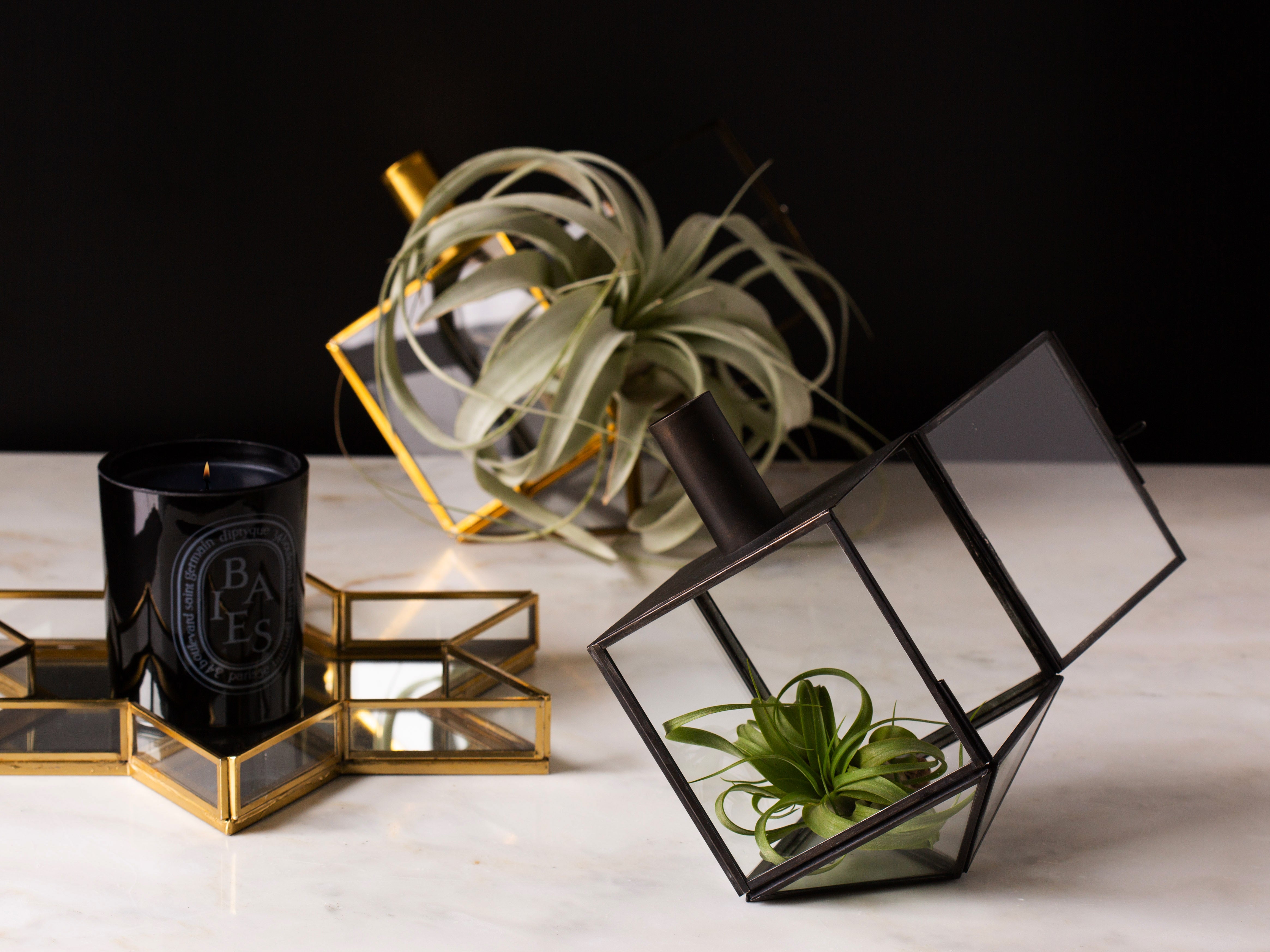 Talia Dreidel Terrarium - Antique Black